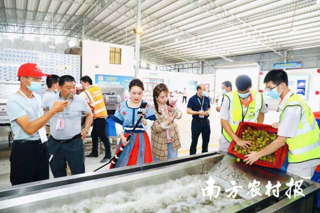 通讯员 南方农村报 供图