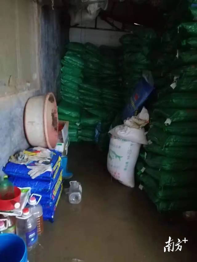 通讯员 受访者供图 供图