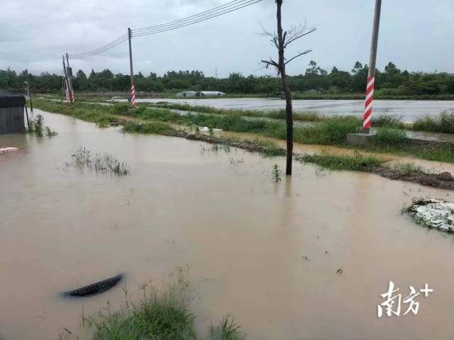 通讯员 受访者供图 供图
