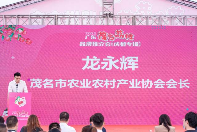 茂名市农业农村产业协会会长龙永辉