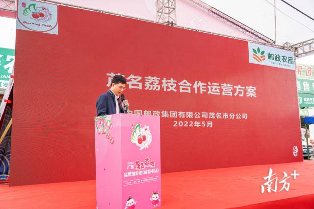 三大优势五大保障！邮政数字物流为茂名荔枝保驾护航