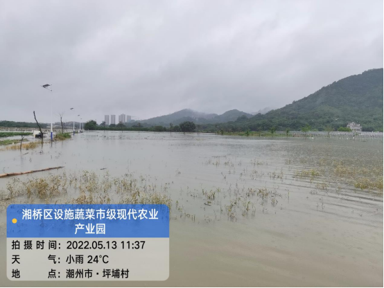 产业园的菜地陷入一片汪洋。