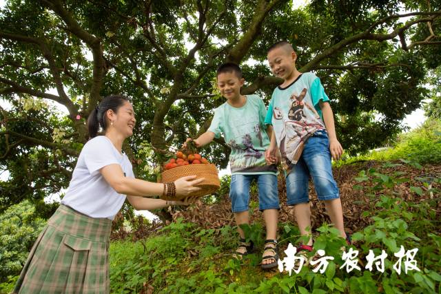 通讯员 南方农村报 供图