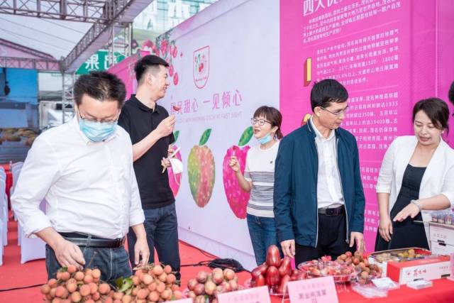 不少采购商驻足展销摊位了解茂名果品