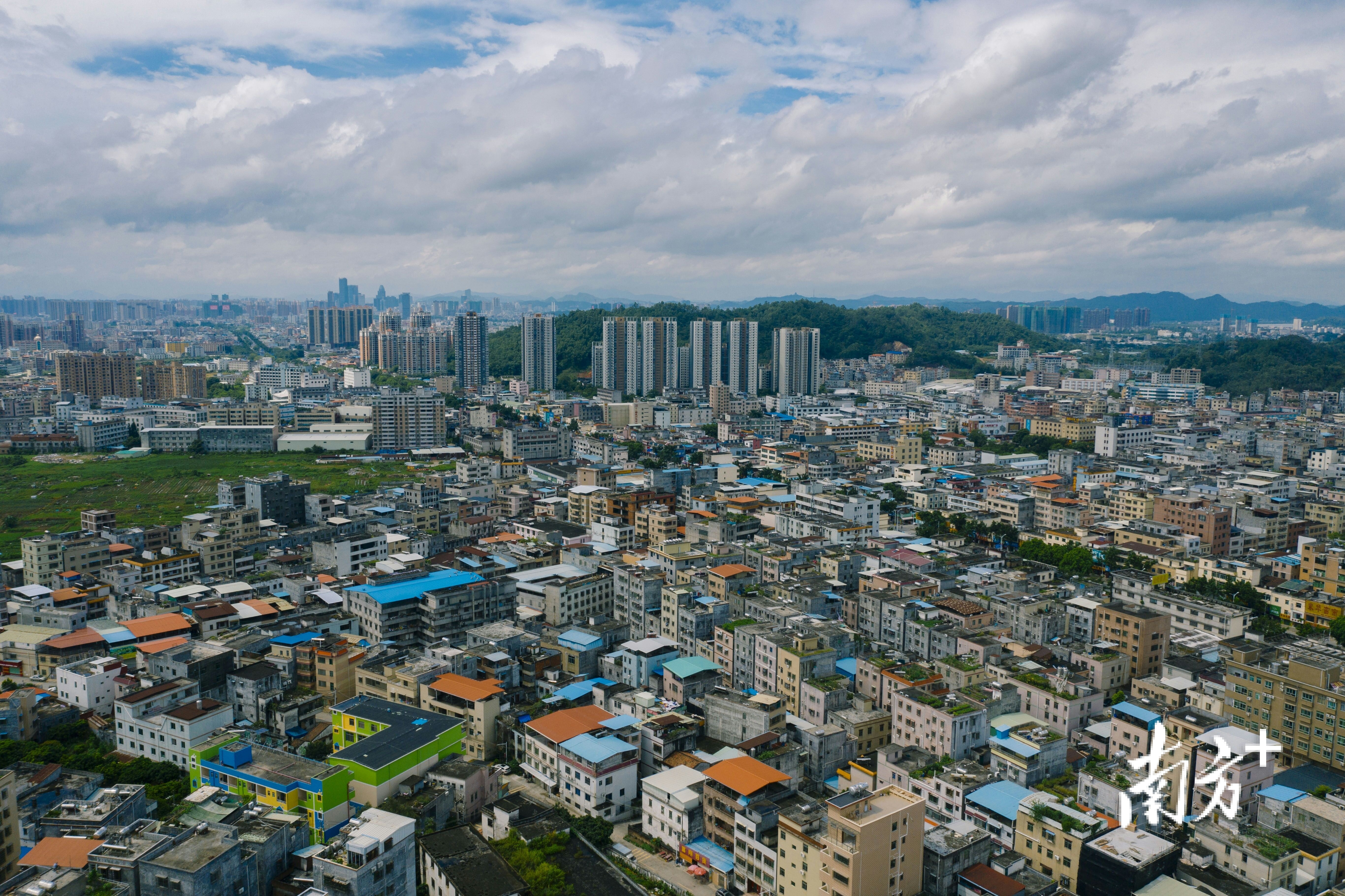    南方+ 张峰 拍摄