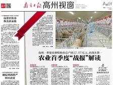 农业首季度“战报”解读|速览《南方日报·高州视窗》58期
