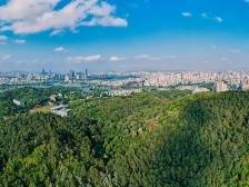 南方观察|惠州：用铁的手腕下绣花功夫