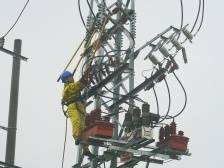 “全力以赴”，肇庆本周关键词|《南方日报·肇庆观察》为你解读