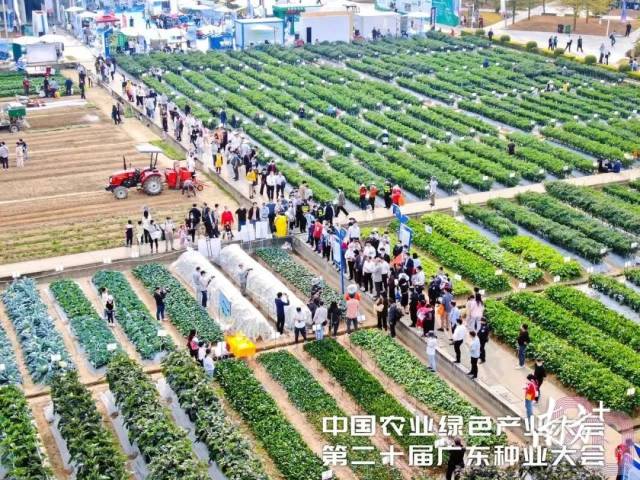 往届展示现场盛况