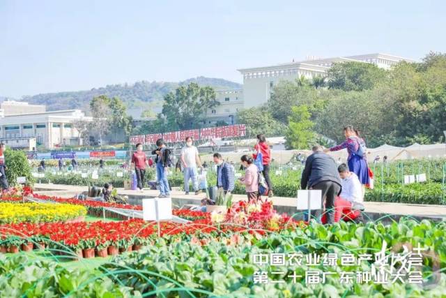 往届展示现场盛况