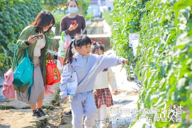 往届展示现场盛况