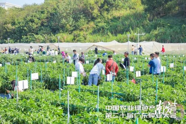 往届展示现场盛况