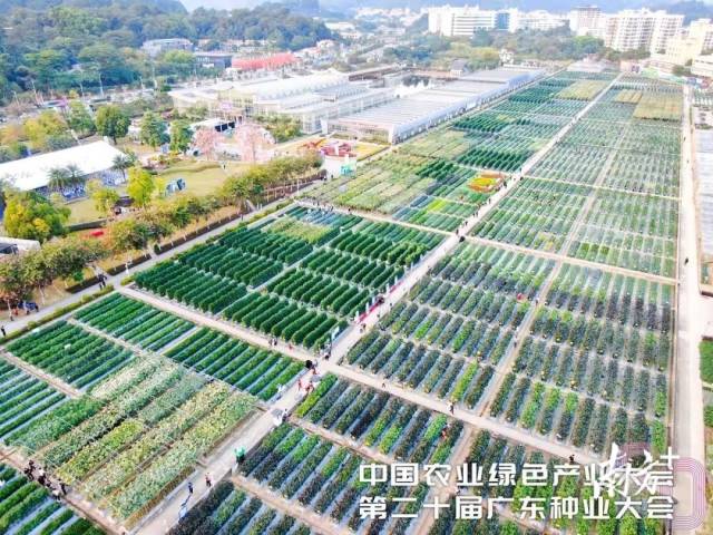 往届展示现场盛况