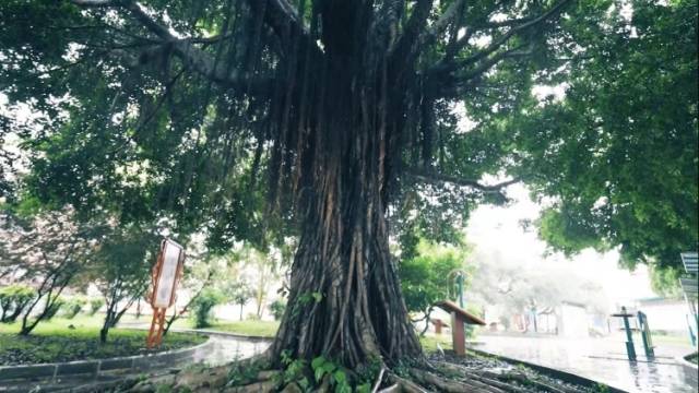 Hi！我在榄核镇的第4天