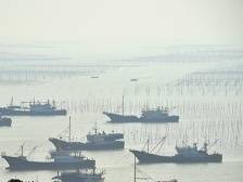 聚焦“1+1+9”工作丨沿海经济带挺进广东发展主战场