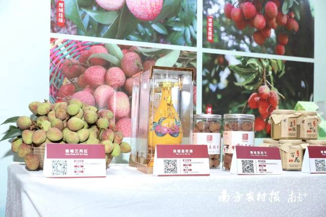 增城荔枝及加工产品