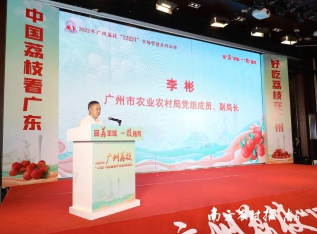 广州市农业农村局副局长李彬指出，今年广州荔枝种植面积约55万亩，预计产量11.4万吨，从品种来看，桂味、糯米糍、仙进奉、井岗红糯等优质荔枝品种37.2万亩，占比66.8%。