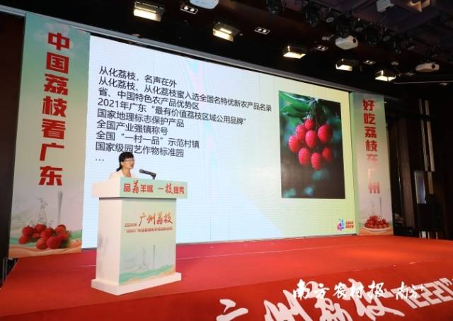 从化区农业农村局副局长何巧清表示，针对今年荔枝销售，从化区现已做好提前部署，制定十大销售举措。