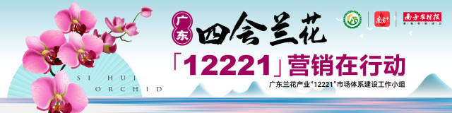 这是他的青春留下来的散文诗
