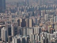 47家！南山国家级专精特新“小巨人”占全市28%｜大湾区产园速递