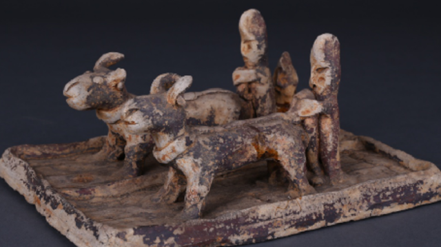 518国际博物馆日，快来pick你喜欢的博物馆活动吧！