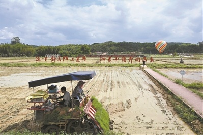广州市黄埔区迳下村通过科技农业与休闲旅游相结合，打造特色精品村、助力乡村振兴。 资料图片