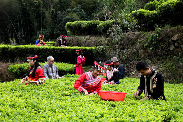 比如来自潮州唯一的聚居少数民族——畲族的口头文学畲歌