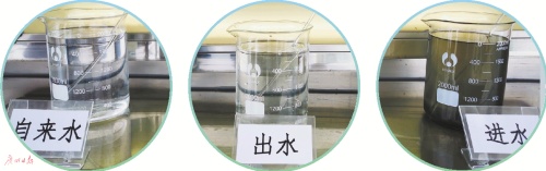 工作人员取了进厂污水和出厂的水与自来水对比。