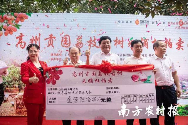 2021年，高州贡园古荔树采摘权168万的高价拍出。