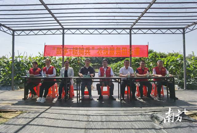 如何种出好冬瓜，卖出好价钱？农技轻骑兵田头支招