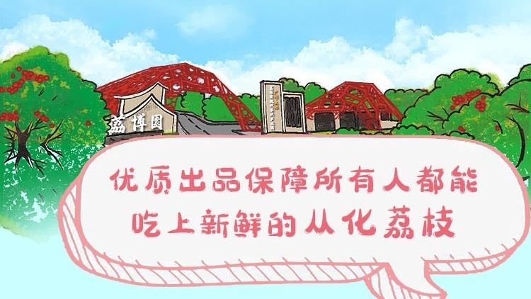看过来，今年第一啖从化荔枝，在这里可以吃到！