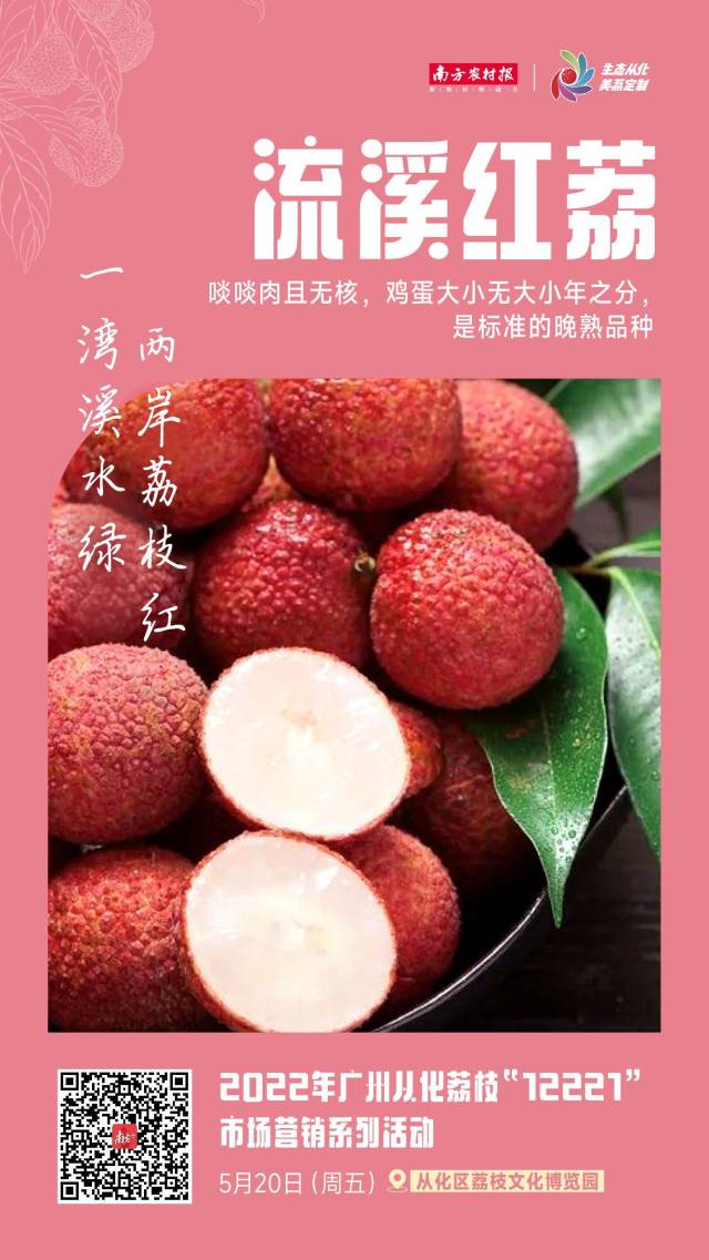 520，离不开“荔”！陪ta抢“鲜”啖从化荔枝