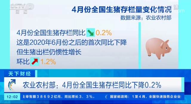 猪价涨势不断，正邦、新希望、天兆等猪企启动新项目