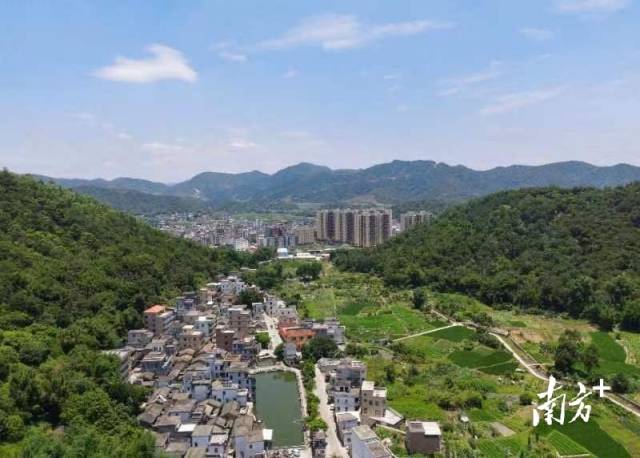 云浮乡村振兴揭新篇美丽安塘共缔造