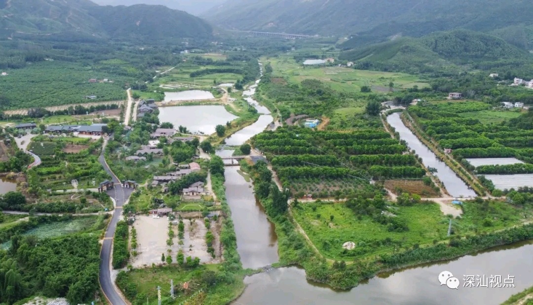 深汕特别合作区优稀水果产业园。