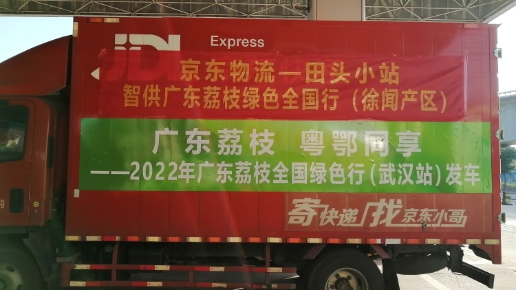 与时间“争鲜”！徐闻荔枝迈出全国绿色行第一步