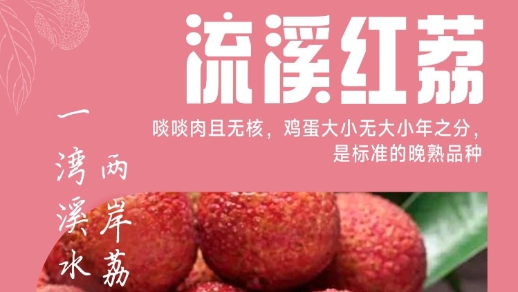 520，离不开“荔”！陪ta抢“鲜”啖从化荔枝