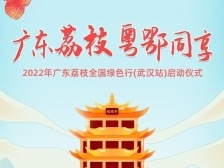 就在明晚，广东荔枝“点亮”黄鹤楼！