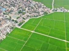 如何让“百千万工程”落地落实？专家提出了这些建议