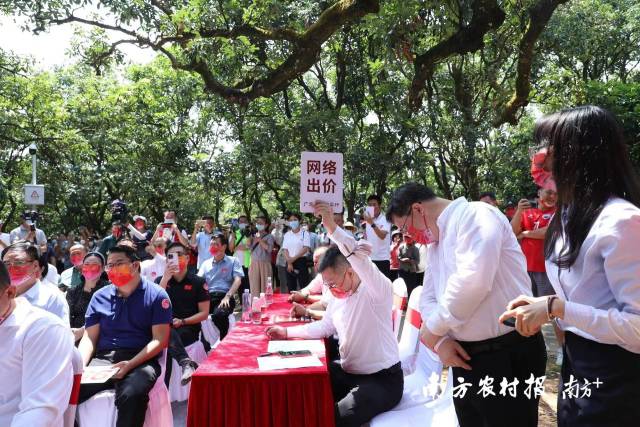 南方农村报 谭家富 拍摄