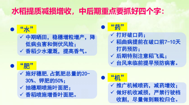 线上论“稻”！《首席专家谈农技》第六期为水稻提质减损而来