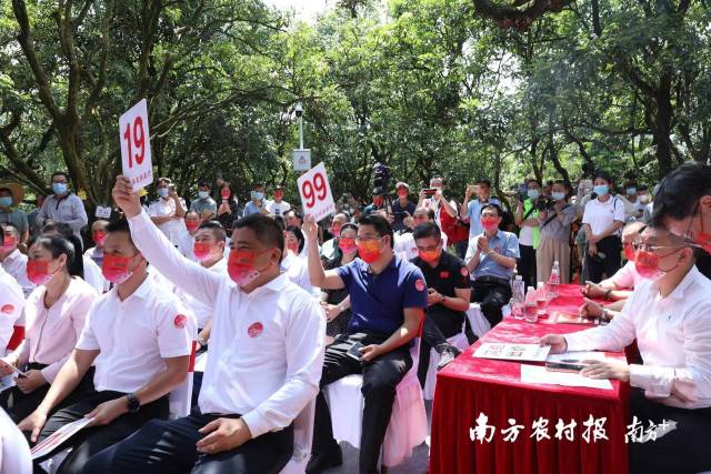 南方农村报 谭家富 拍摄