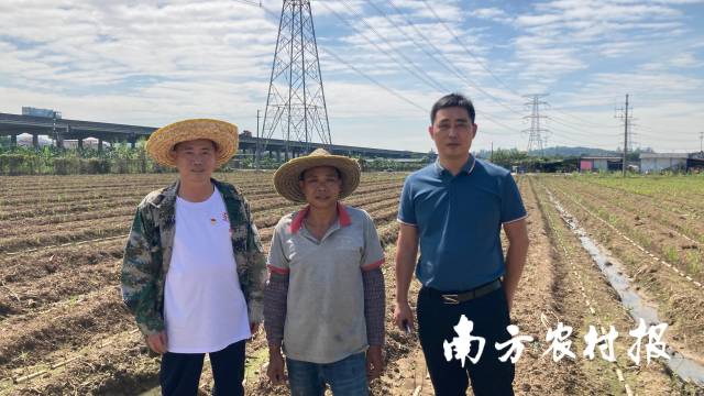 滞销甘蔗变“网红”！广州南沙大力支持农产品线上销售，最高奖励20万元