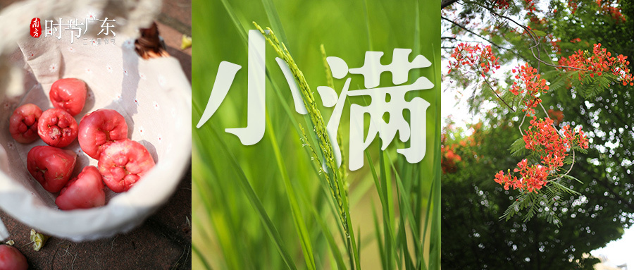 小满丨小得盈满 刚刚好