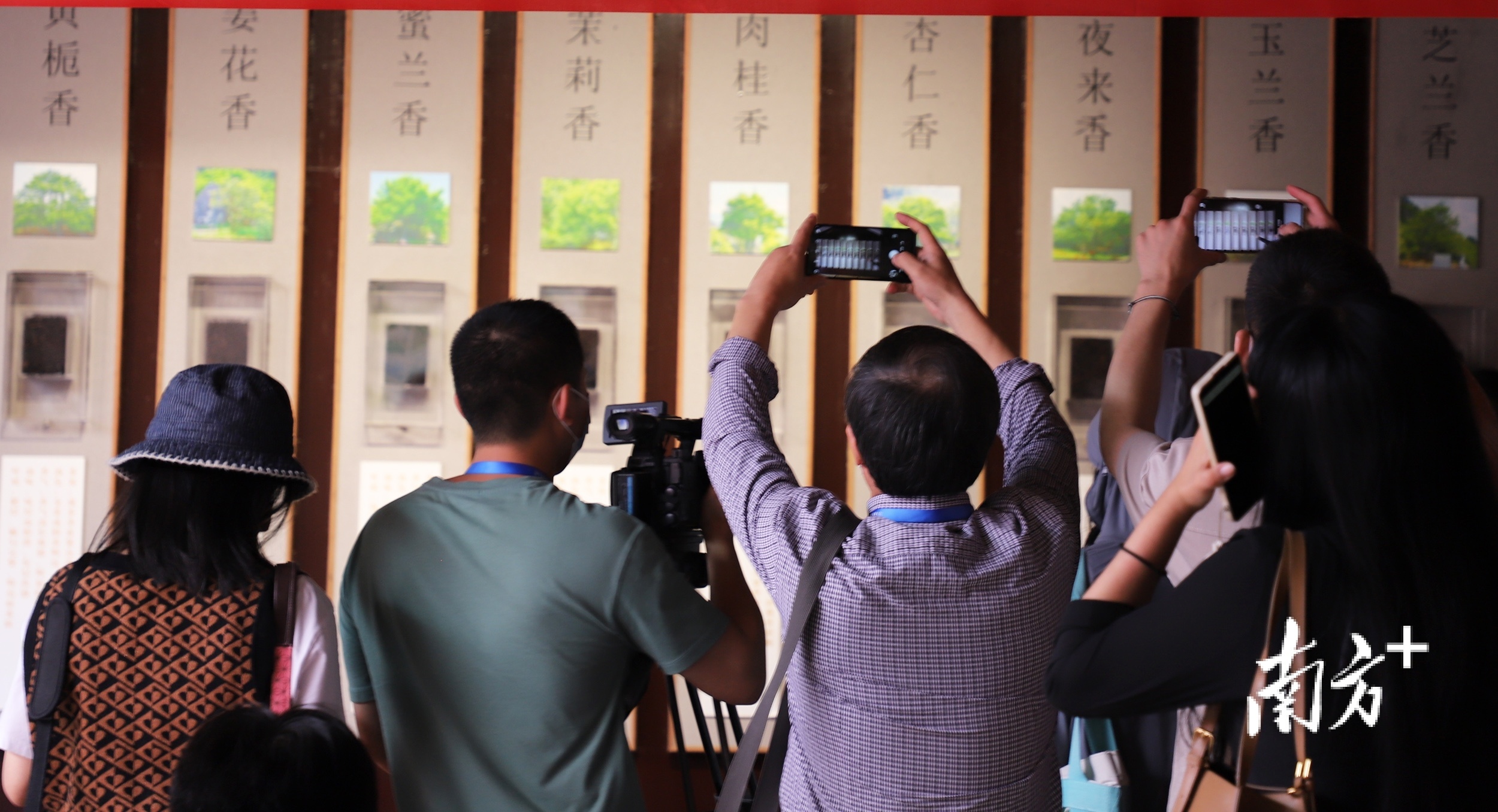 南方+ 纪金娜 拍摄