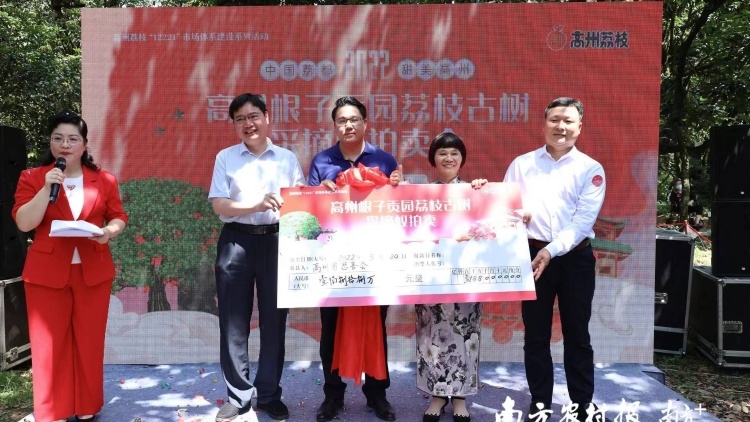 188万元！高州贡园古荔树“荔王”采摘权拍出