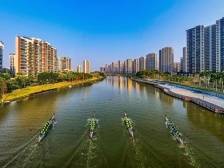 佛山高明龙舟文化生生不息