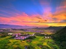 云浮罗定：勤劳换来仓廪实