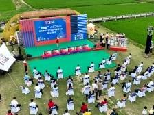 文话茶山丨 “火柴盒”东莞城市艺术time在茶山稻田公园开show