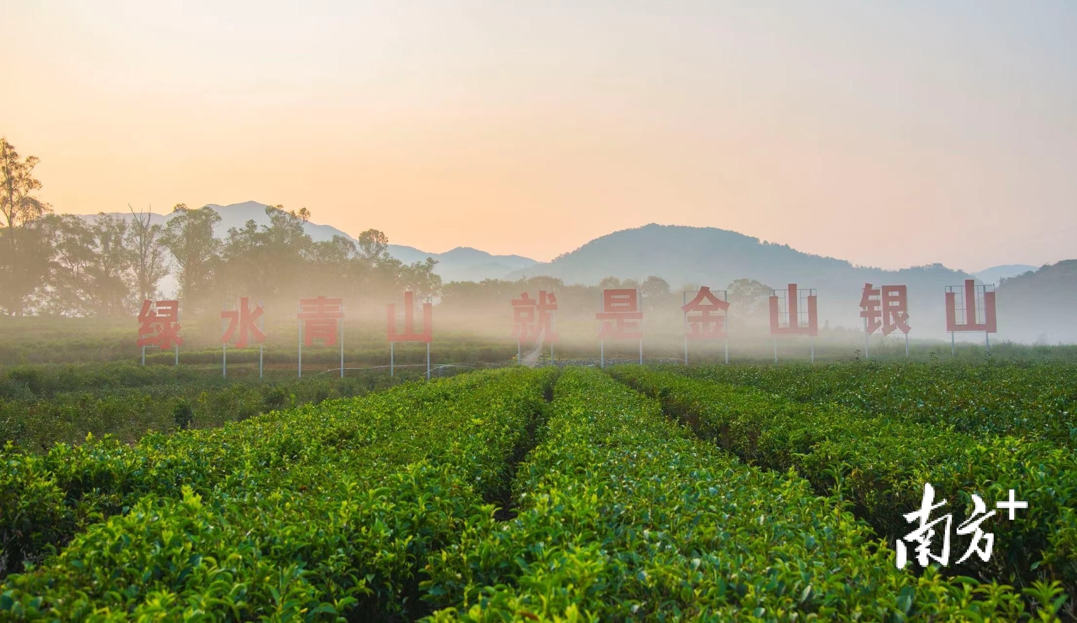 绿水青山就是金山银山。林奕波 摄